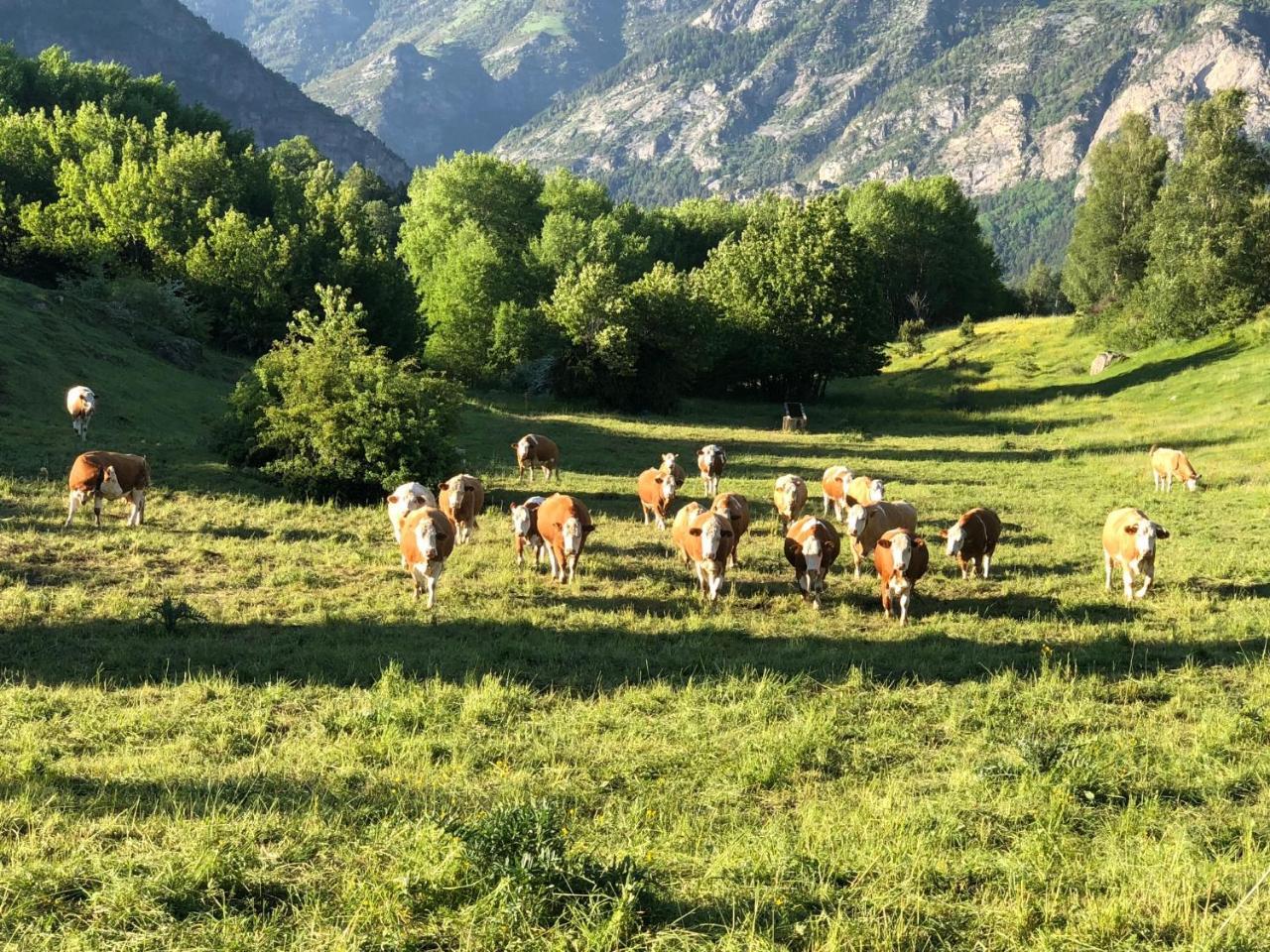 Apartamentos Turisticos Lavedan Tramacastilla de Tena Bagian luar foto